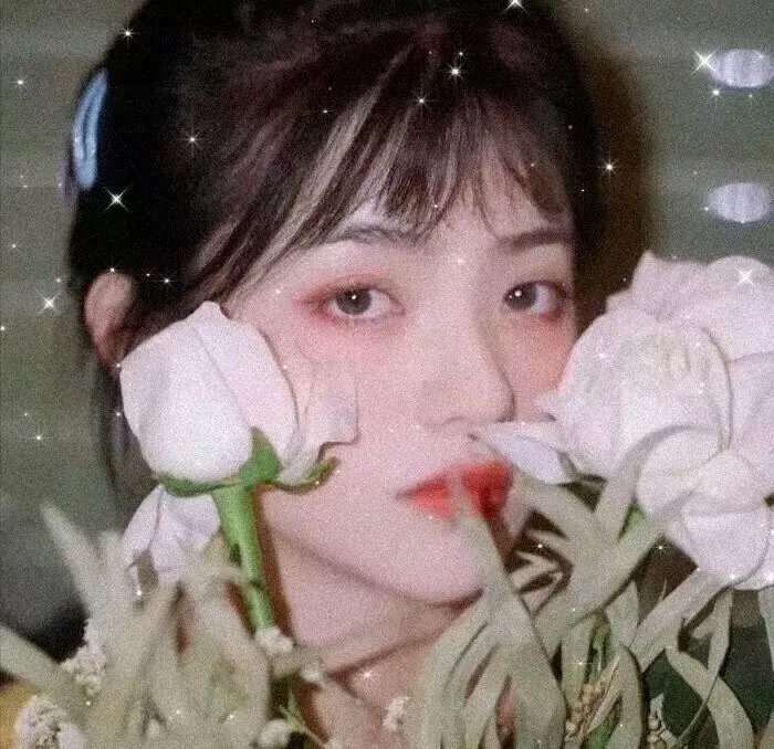 红衣谍影